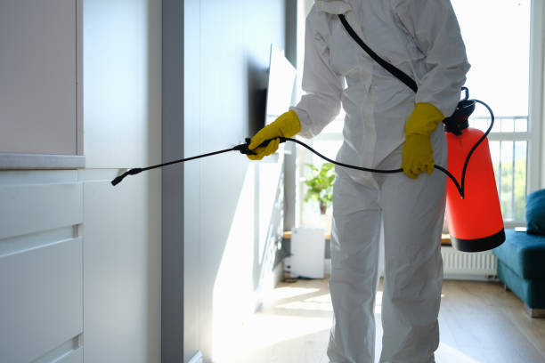 Best Office Mold Removal Services  in Yoakum, TX