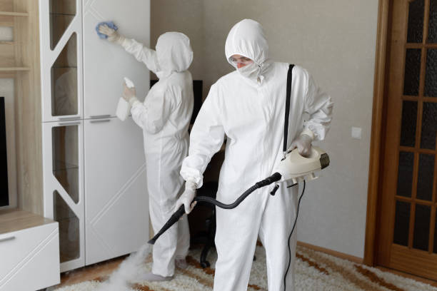 Best Attic Mold Removal  in Yoakum, TX