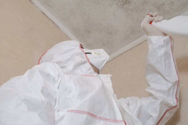 Best Office Mold Removal Services  in Yoakum, TX