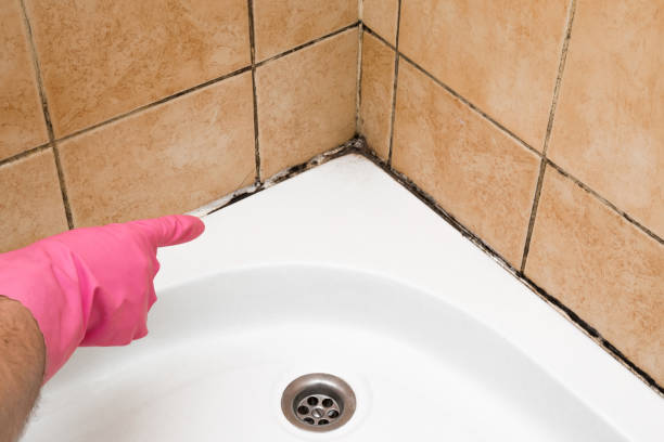 Best Affordable Mold Removal  in Yoakum, TX